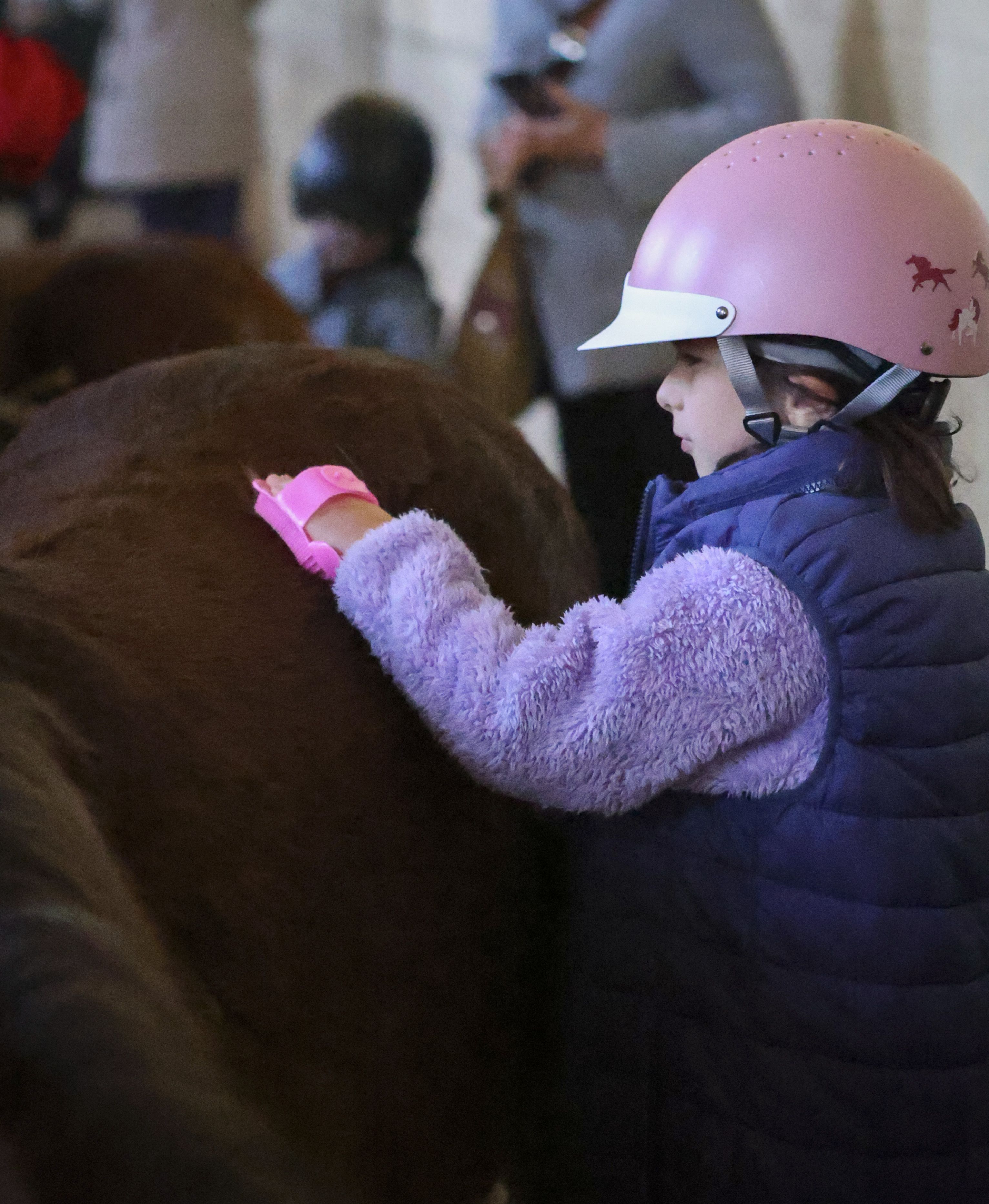 Préparation poney menois