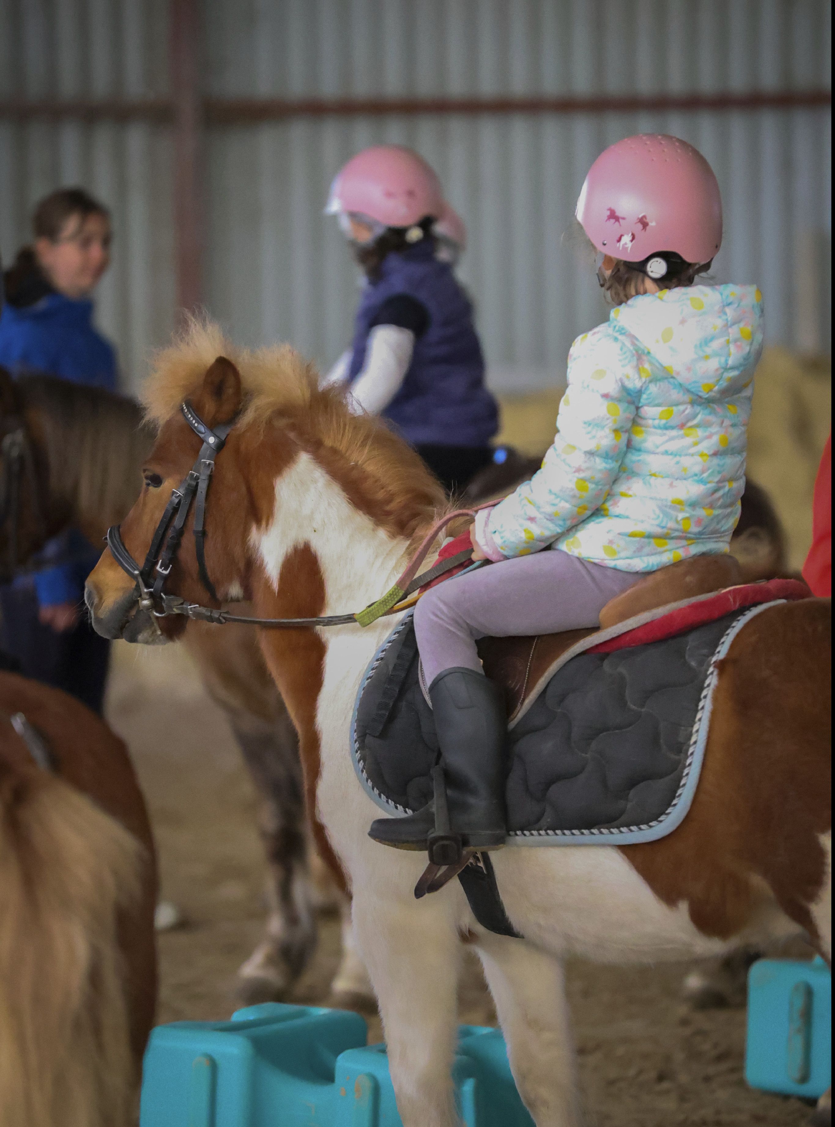 enfant shetland menois